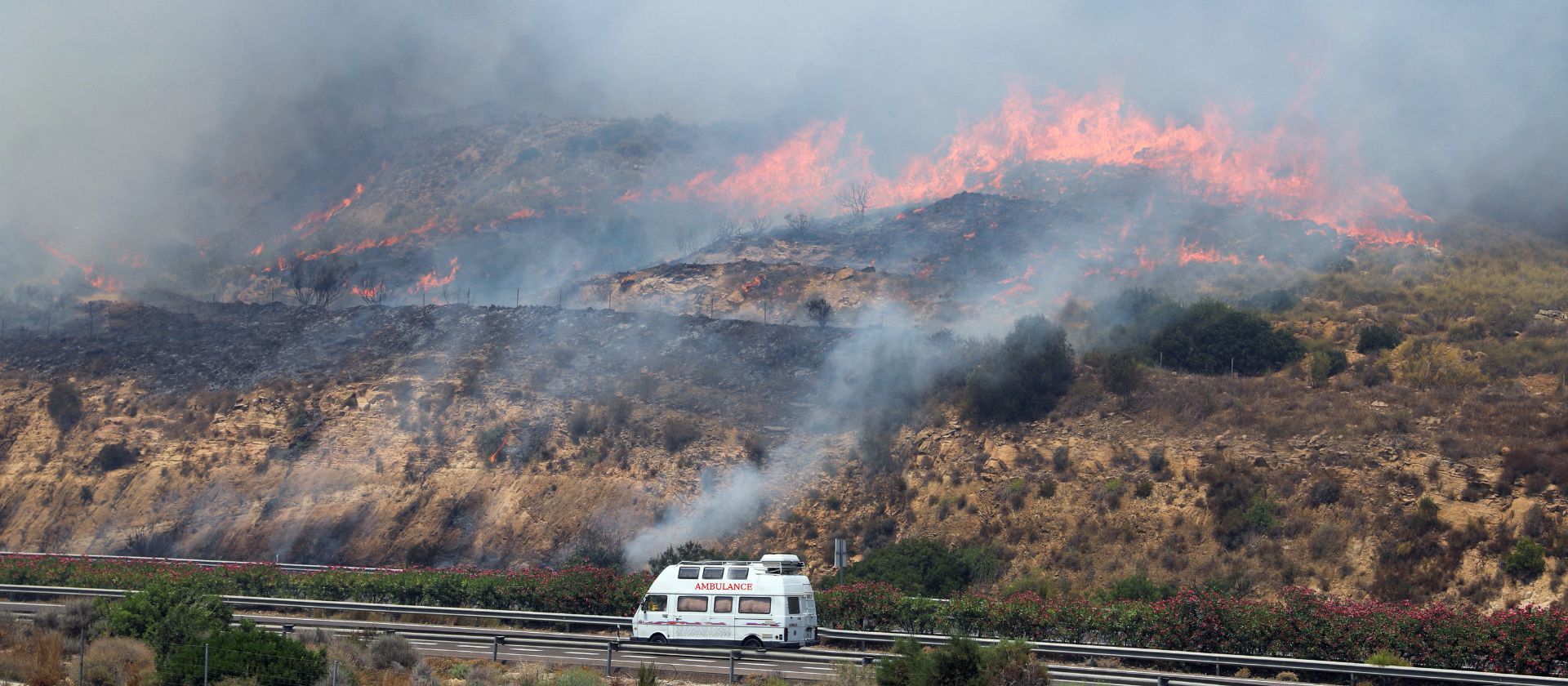 Image related to Spain’s wildfires: from protection gap to prevention