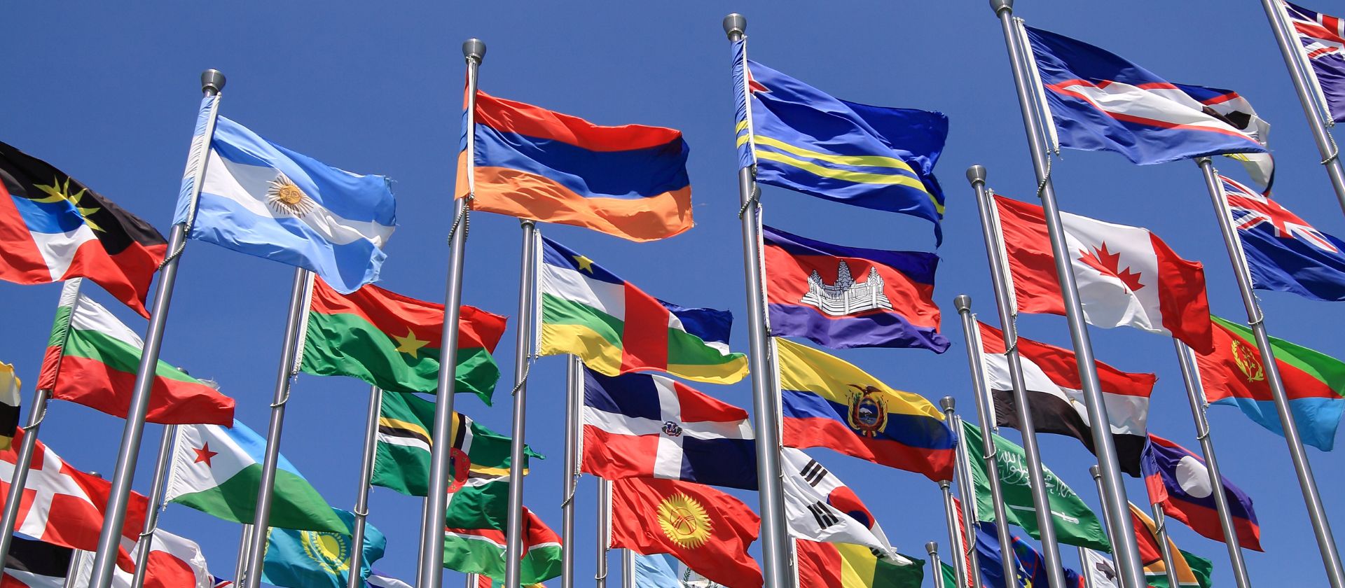 Image related to What is a Global Insurance Programme